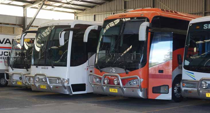 Symes Bonluck President 2 TV492, Senator 12 4622MO & Inverell Iveco Eurorider Coach Design 19